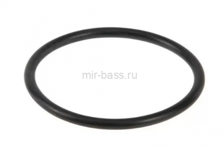 Резиновое уплотнение крышки фильтра Gemas FILTREX/FILTRONE/FILTREX HB/TURBIDRON BL (860028) Резиновое уплотнение крышки фильтра Gemas FILTREX/FILTRONE/FILTREX HB/TURBIDRON BL (860028)